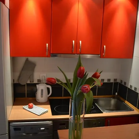 Apartment Nicola's Novi Sad